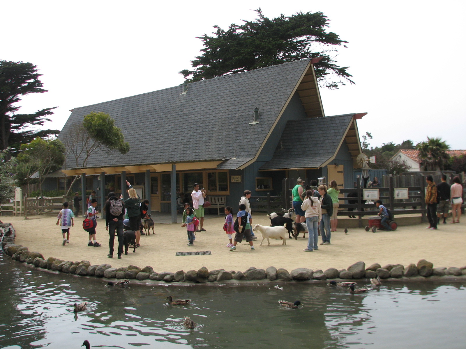 Childrens Zoo - Family Farm