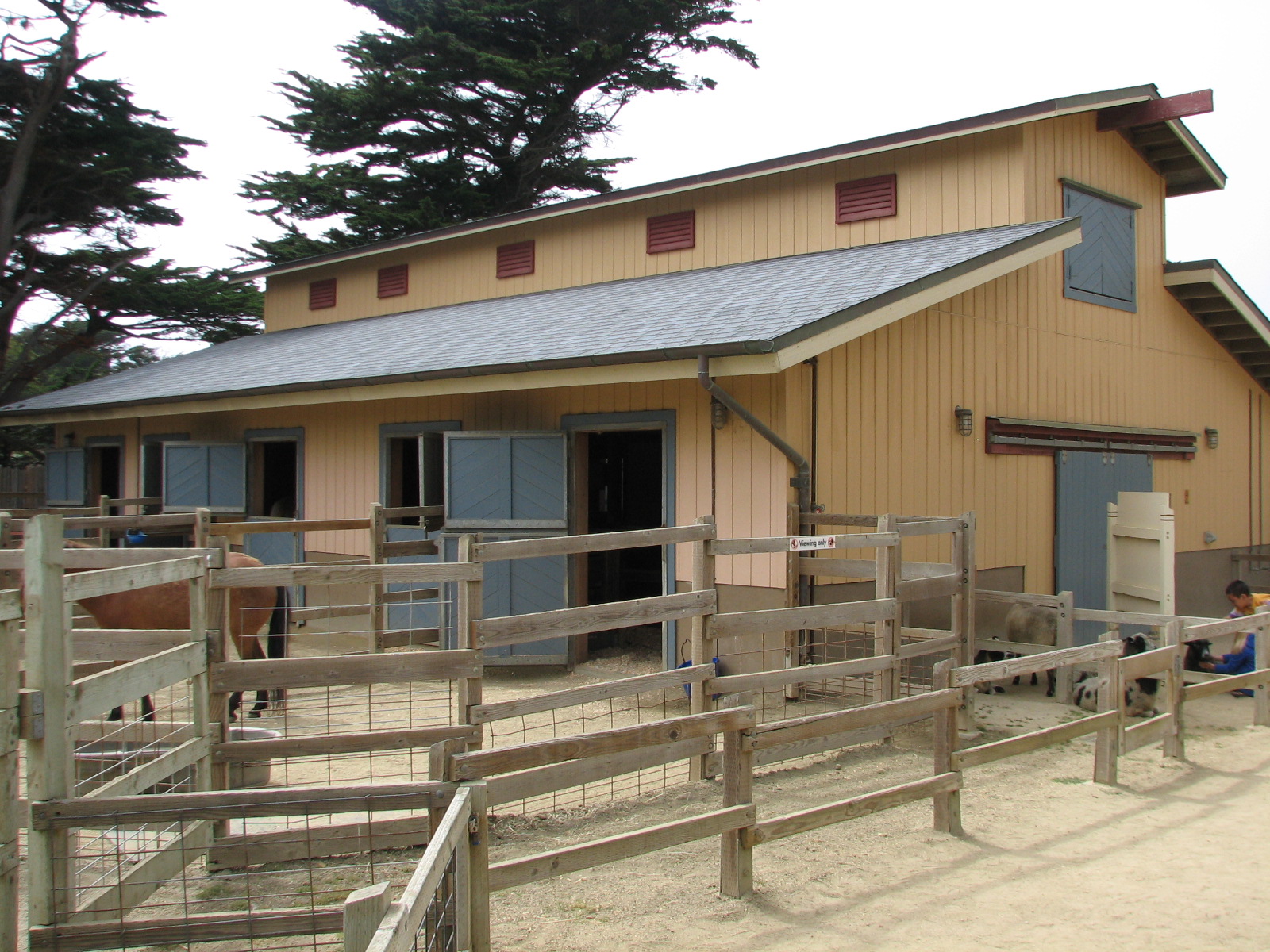 Childrens Zoo - Family Farm