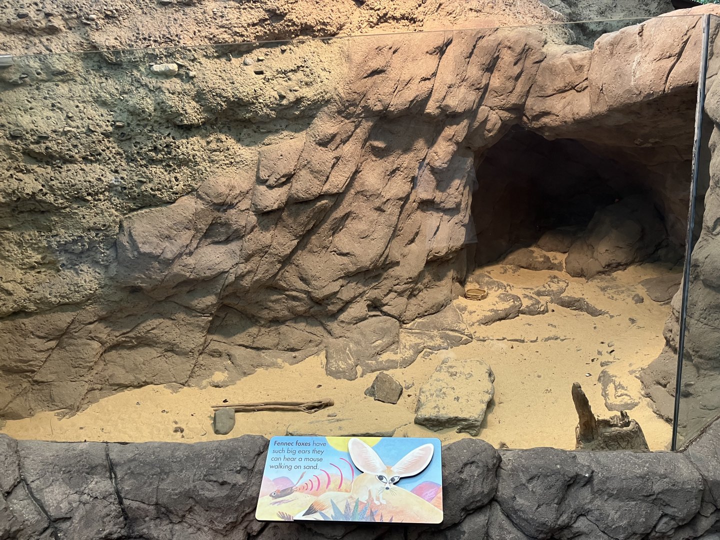 Children’s Zoo - Fennec Fox Exhibit