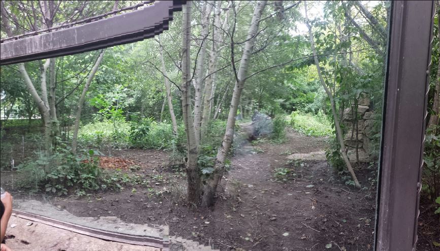 Children's Zoo - First Red Wolf Exhibit