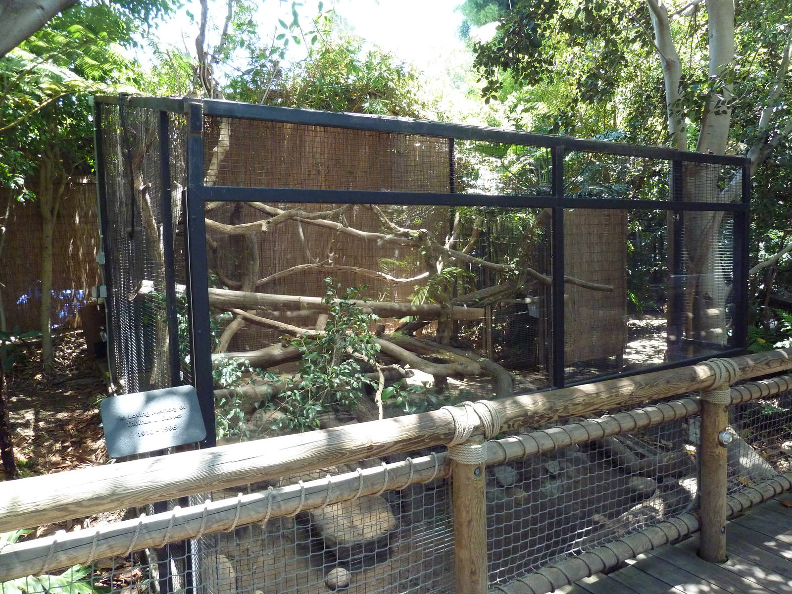 Children's Zoo - Fossa Exhibit