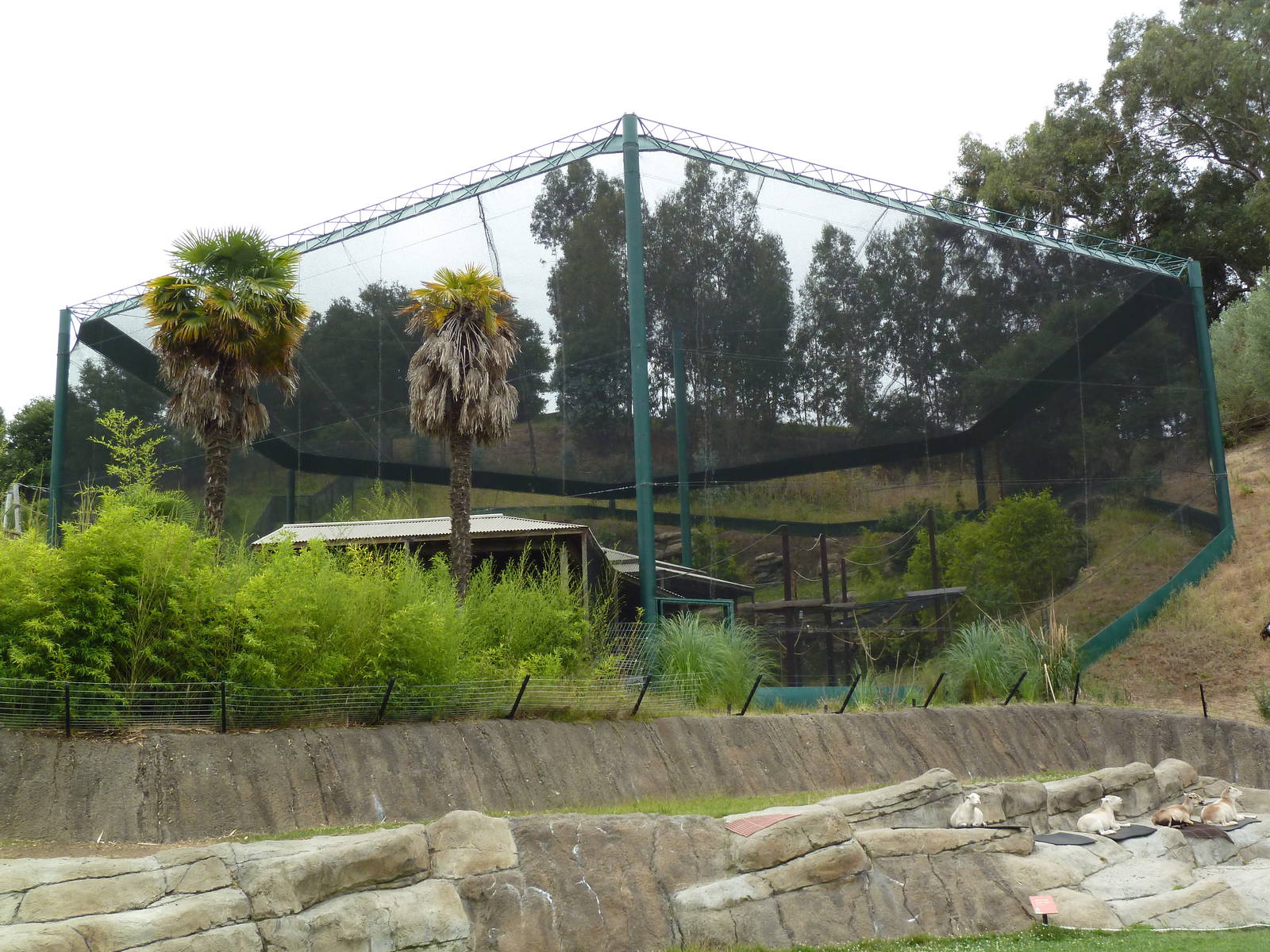 Children's Zoo - Fruit Bat Exhibit