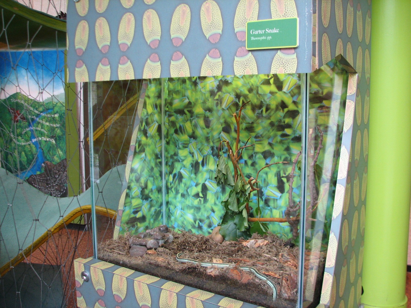Childrens Zoo - Garter Snake Exhibit