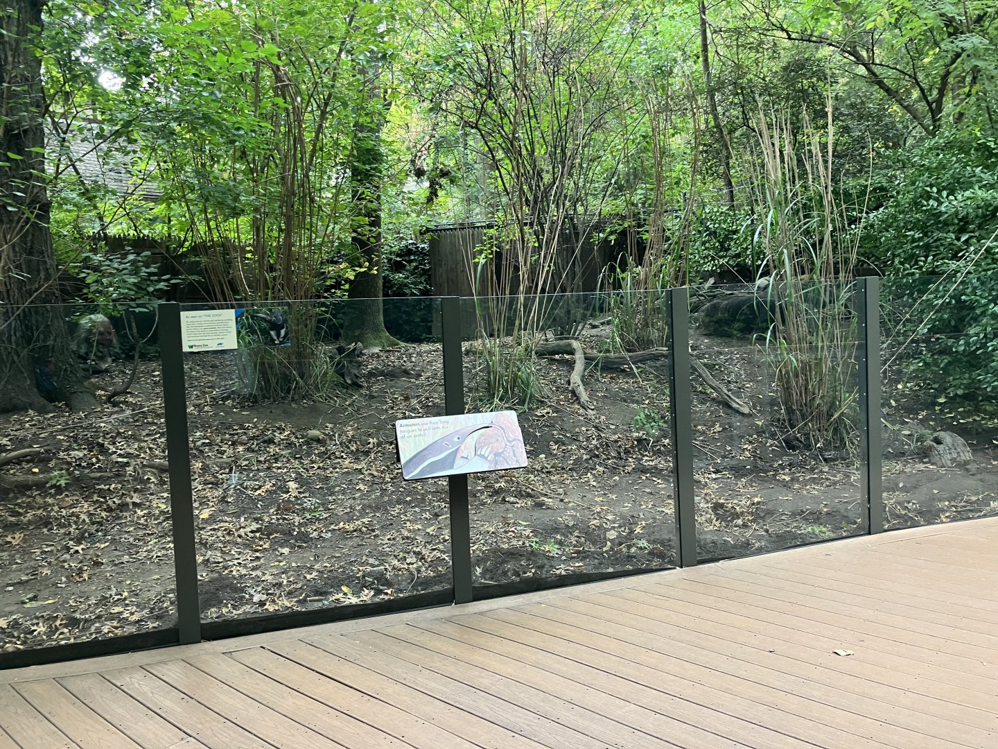 Children’s Zoo - Giant Anteater Exhibit