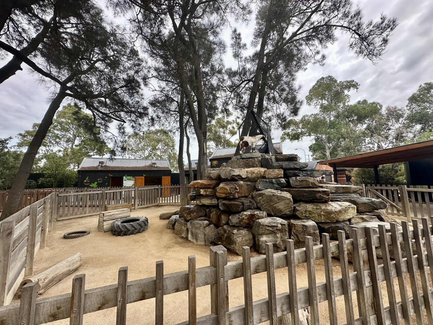 Children’s Zoo - Goat Exhibit