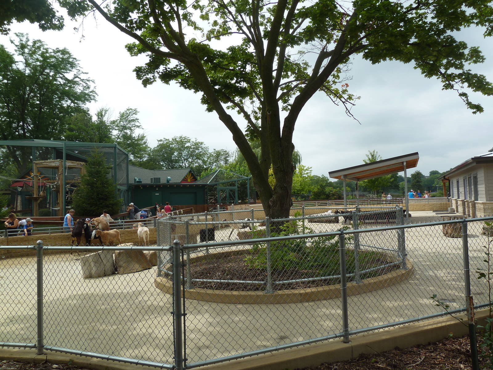 Children's Zoo - Goat Yard