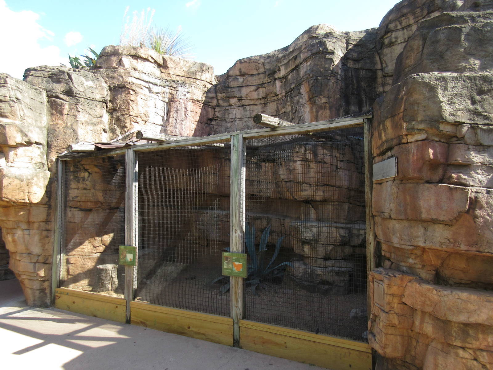 Children's Zoo - Greater Roadrunner/Texas Tortoise Exhibit