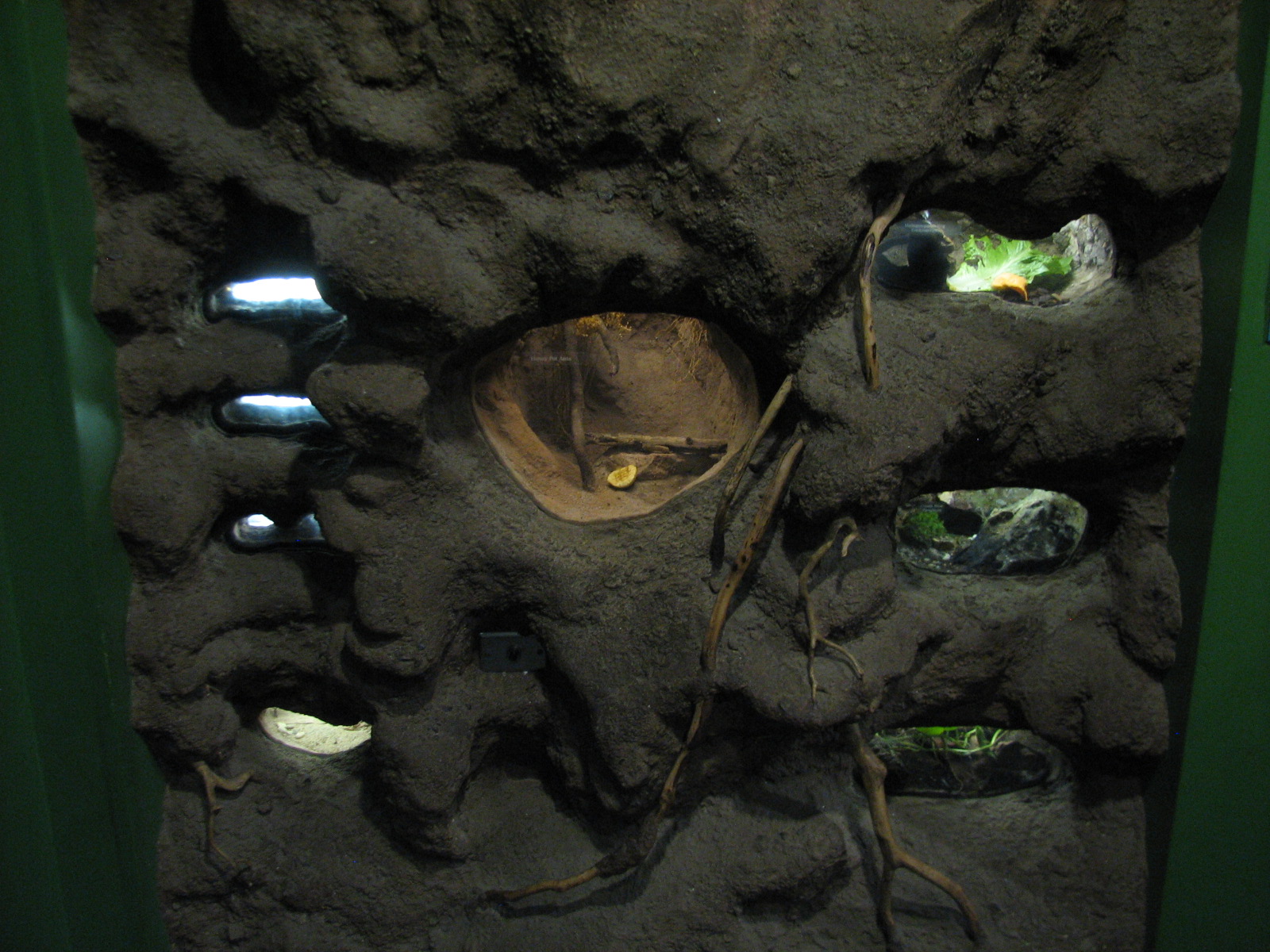 Childrens Zoo - House of Bugs - First Panel Exhibits