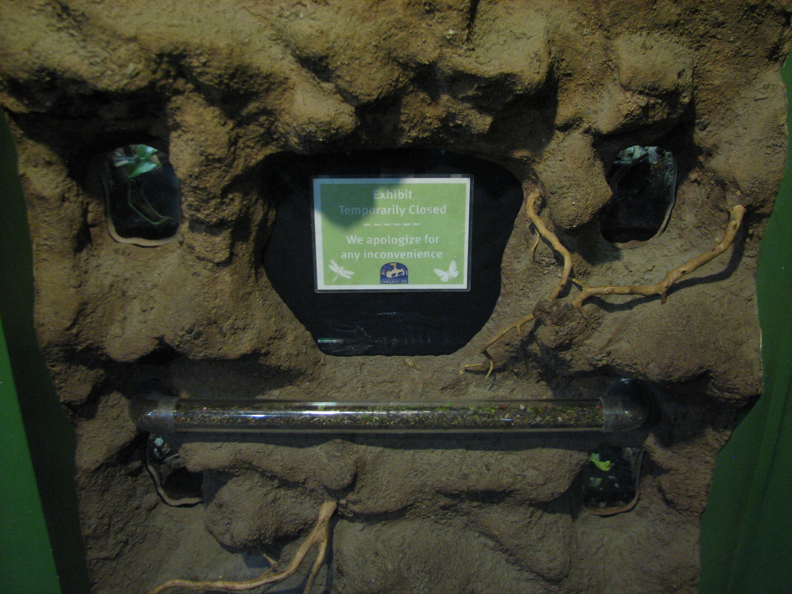 Childrens Zoo - House of Bugs - Fourth Panel Exhibits