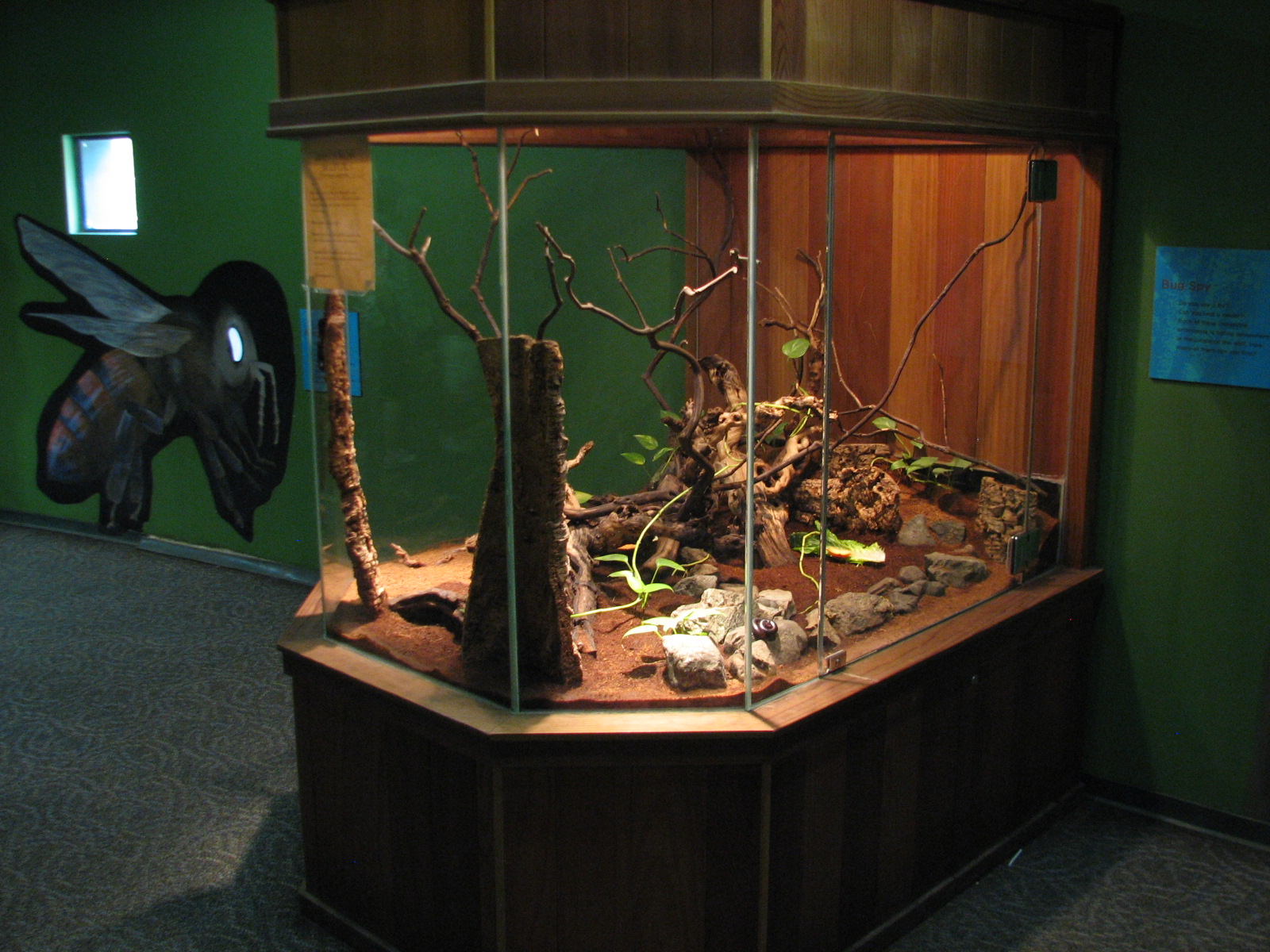 Childrens Zoo - House of Bugs - Giant African Millipede Exhibit