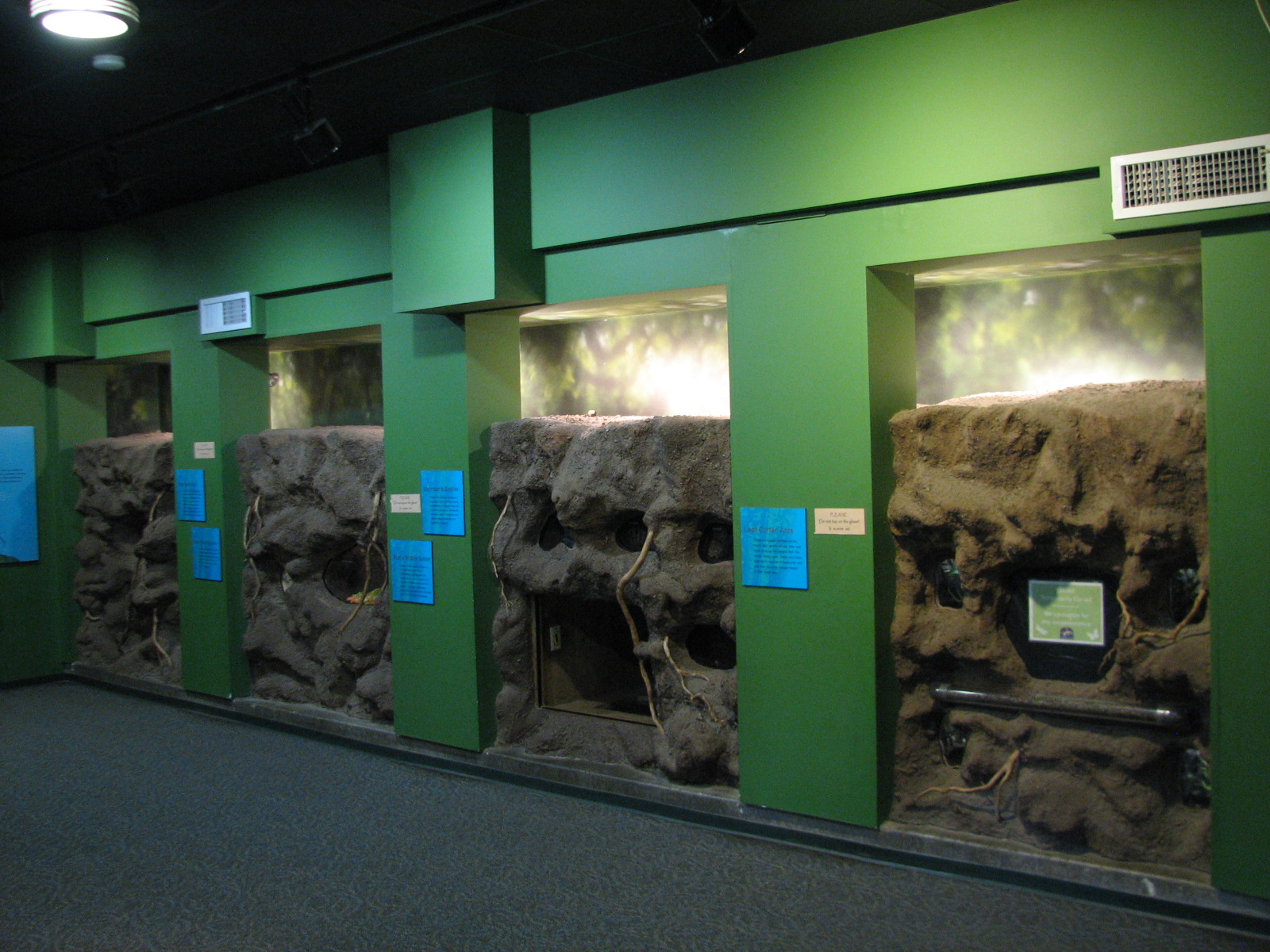 Childrens Zoo - House of Bugs - Interior