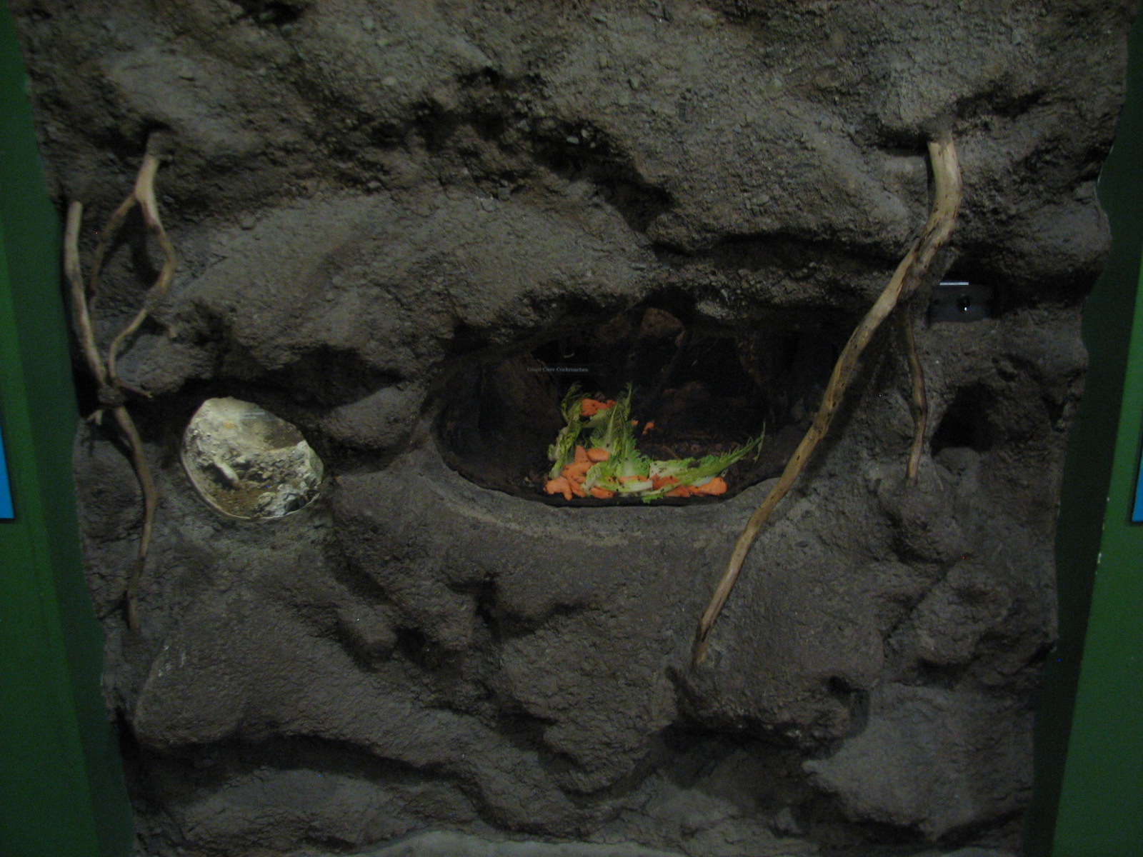 Childrens Zoo - House of Bugs - Second Panel Exhibits