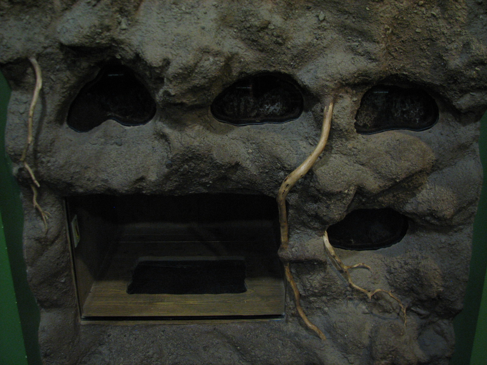 Childrens Zoo - House of Bugs - Third Panel Exhibits