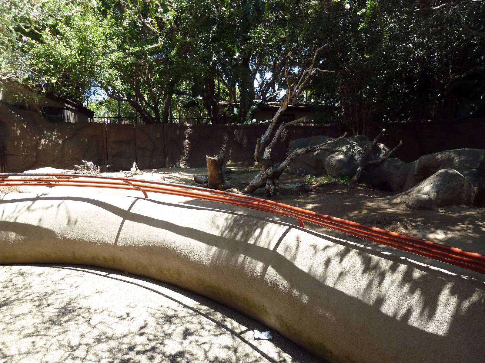 Children's Zoo - Indian Crested Porcupine Exhibit