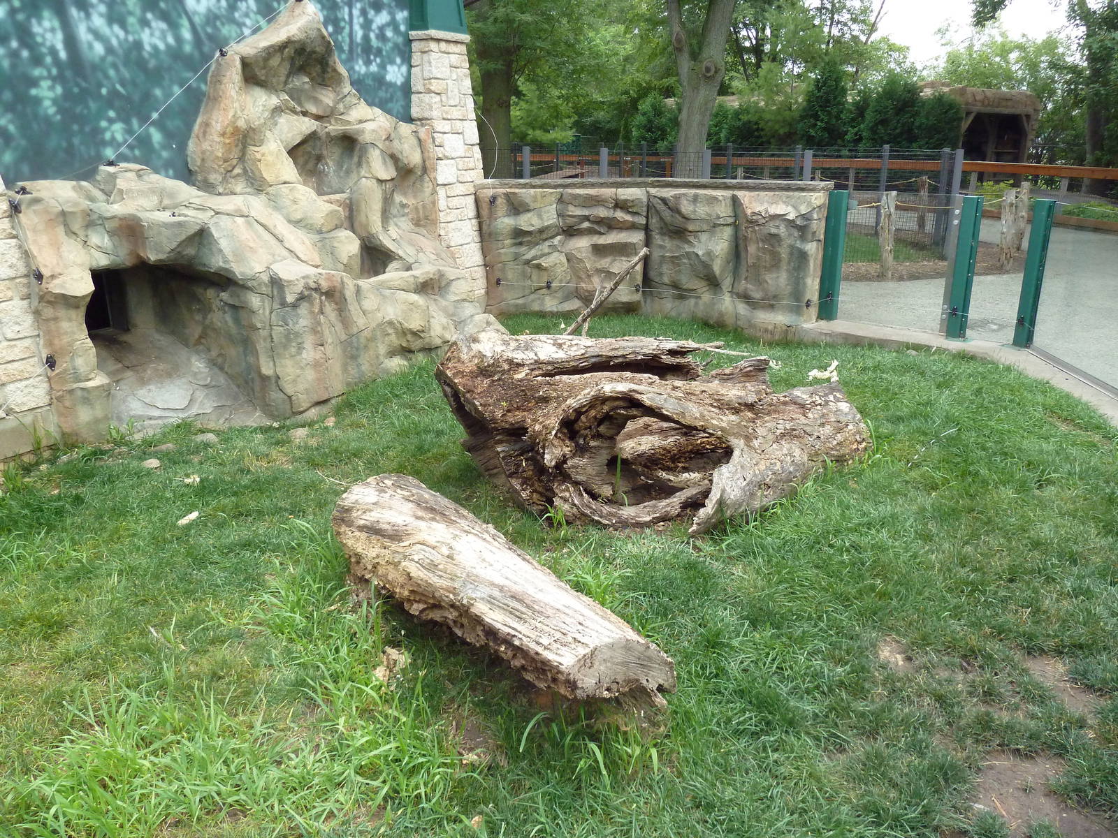 Children's Zoo - Indian Crested Porcupine Exhibit