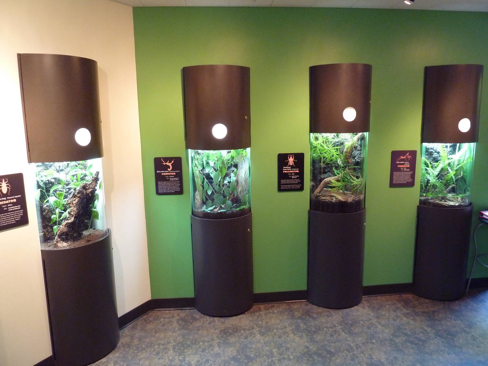 Children's Zoo - Insect House Exhibits