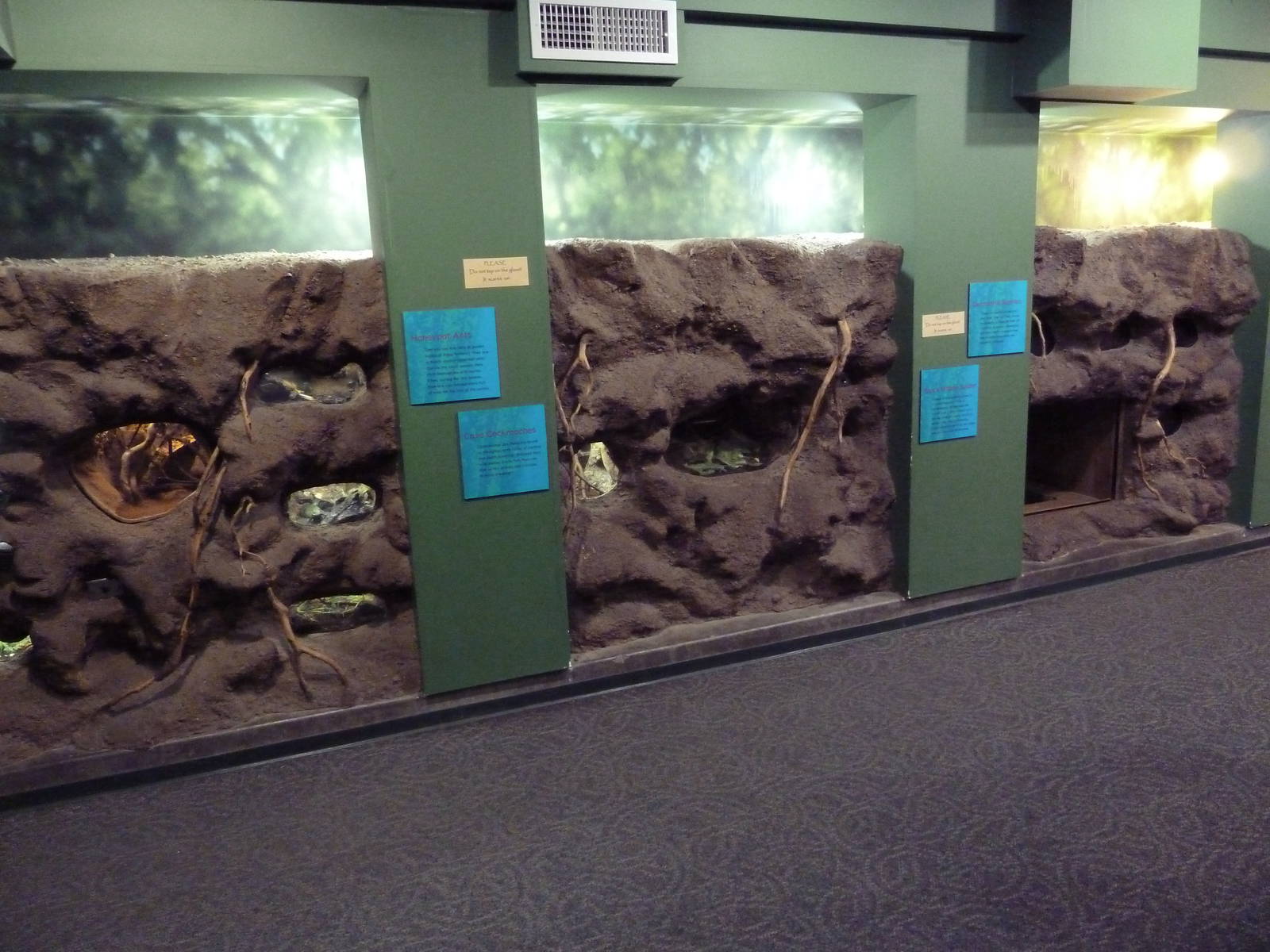 Children's Zoo - Insect House Exhibits