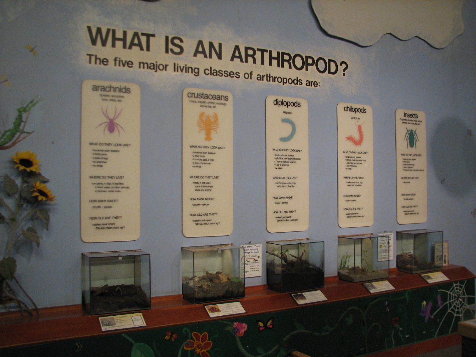 Childrens Zoo - Insect Zoo Interior