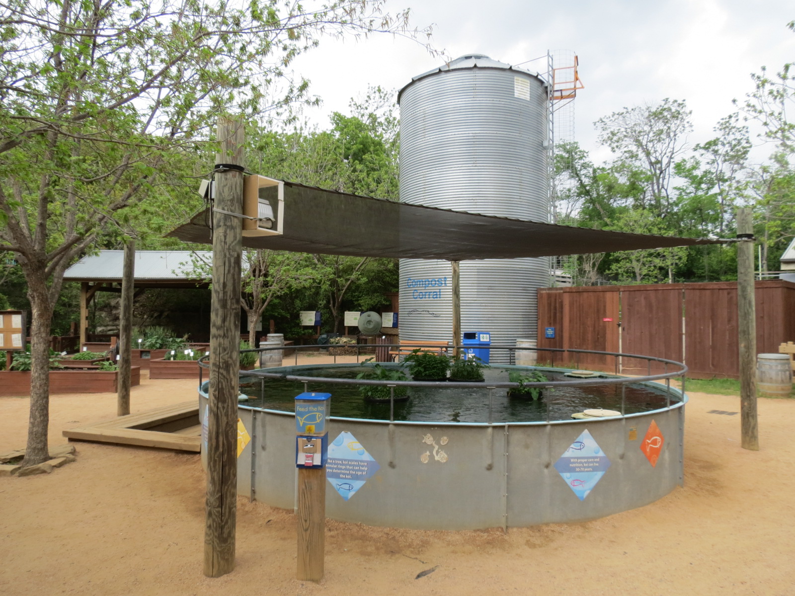Childrens Zoo - Koi Pond