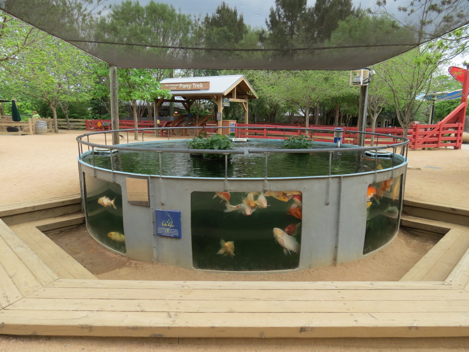 Childrens Zoo - Koi Pond
