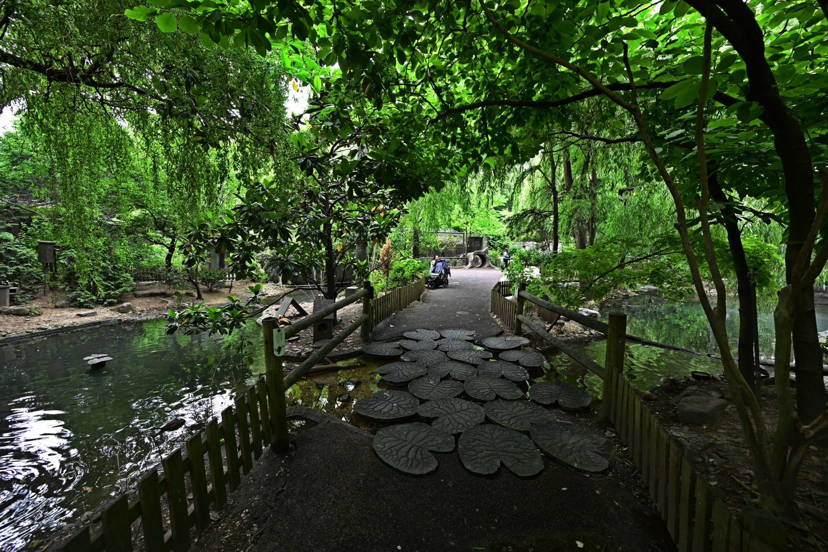 Childrens Zoo - Landscape and Scenery