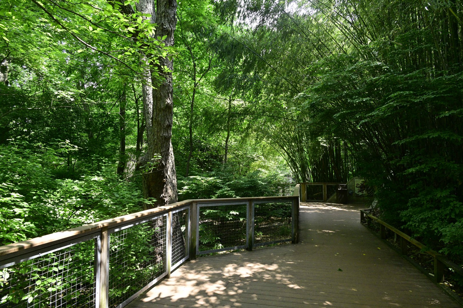 Children's Zoo - Landscape and Scenery