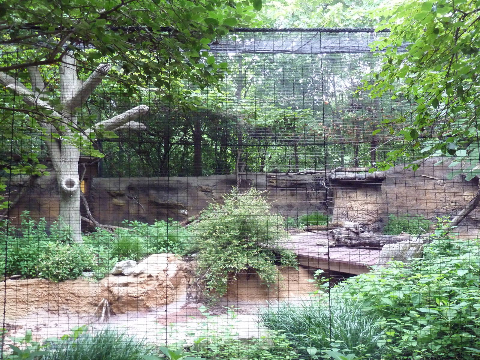 Children's Zoo - Lemur Lookout