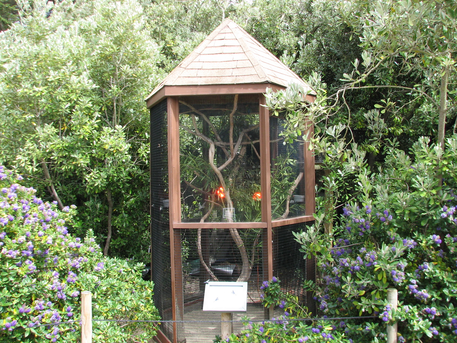 Childrens Zoo - Lovebird Exhibit