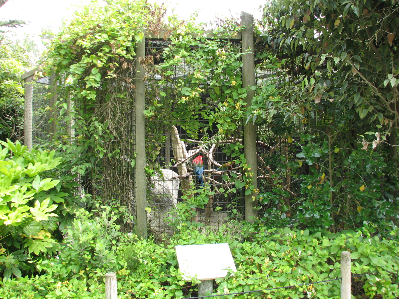 Childrens Zoo - Macaw Exhibit