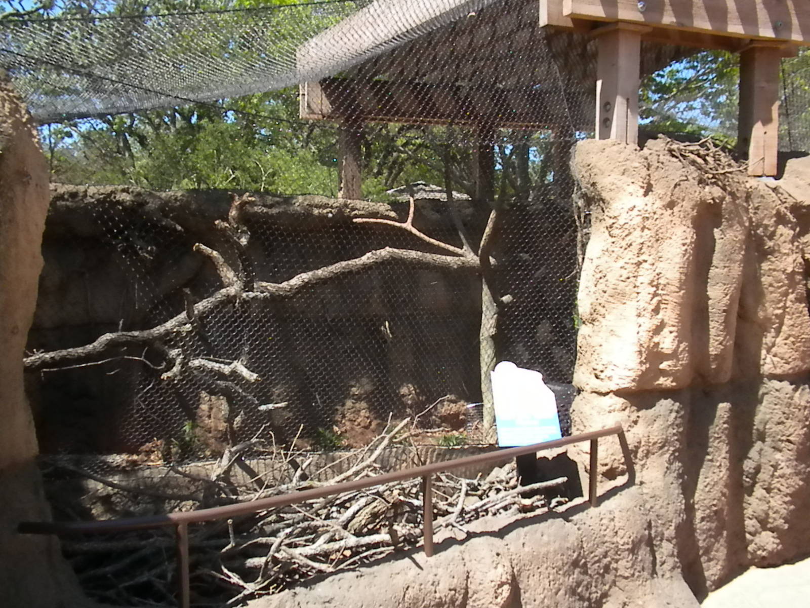 Children's Zoo - Macaw