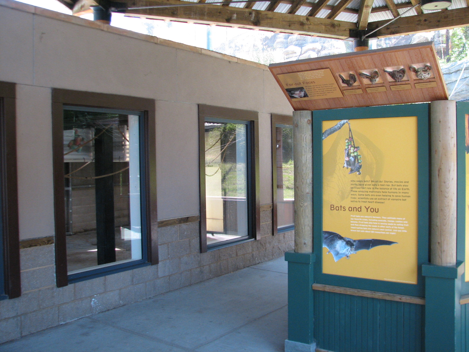 Childrens Zoo - Malayan and Island Flying Foxes Exhibit - Bedrooms