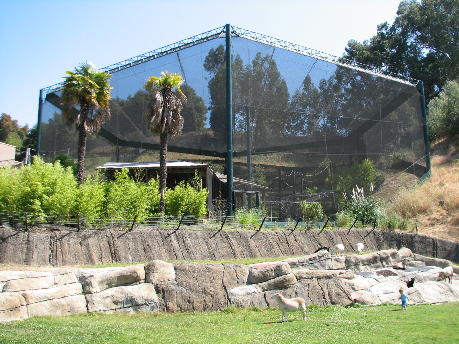 Childrens Zoo - Malayan and Island Flying Foxes Exhibit - Exterior