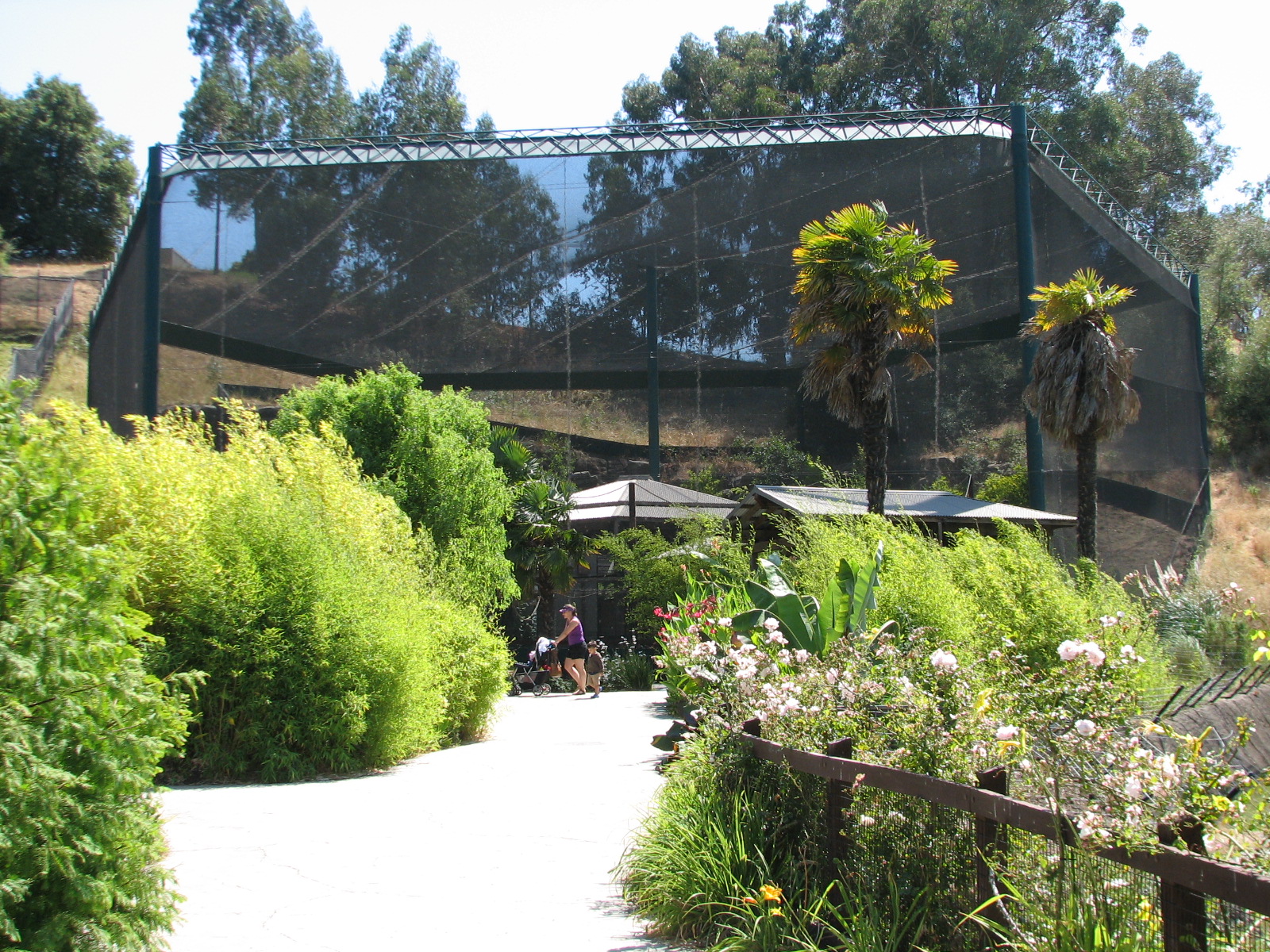 Childrens Zoo - Malayan and Island Flying Foxes Exhibit - Exterior