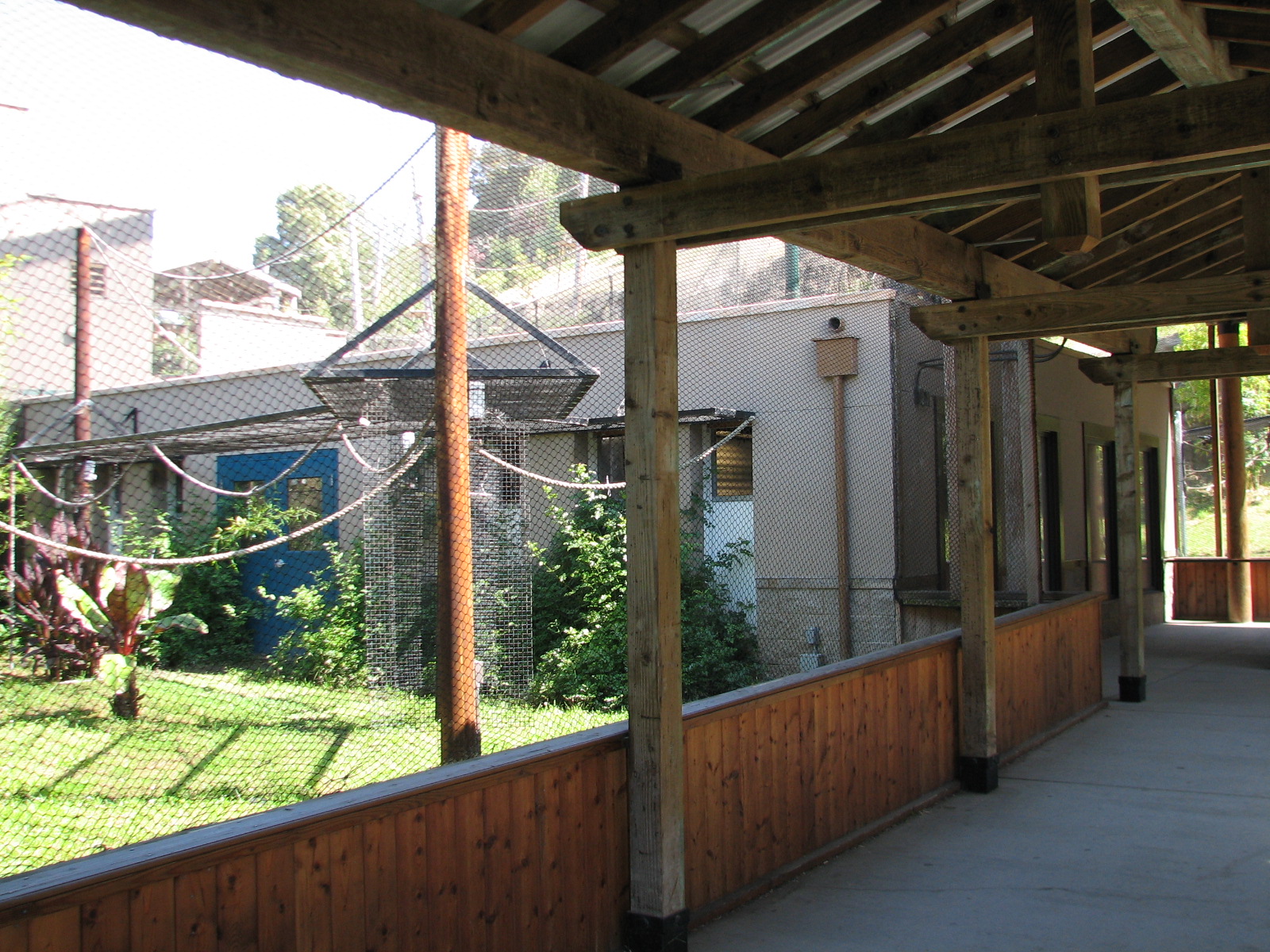 Childrens Zoo - Malayan and Island Flying Foxes Exhibit - Viewing Area