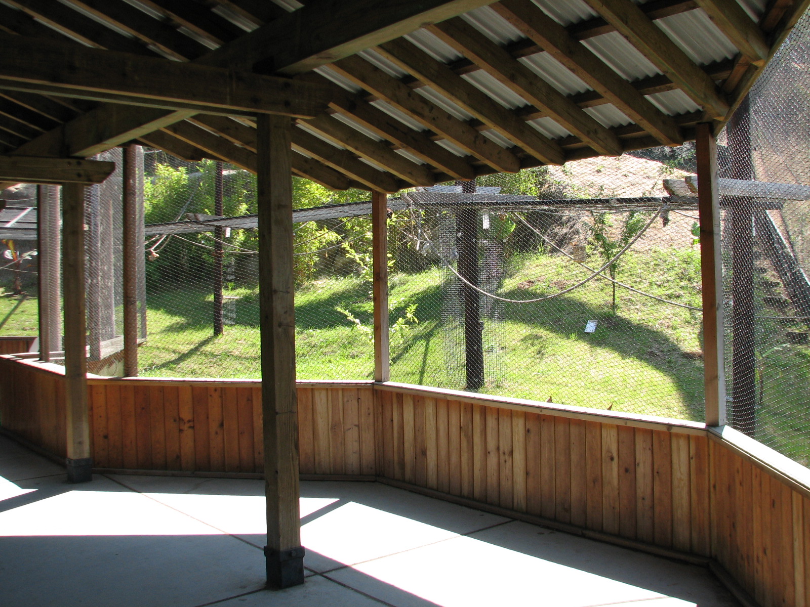 Childrens Zoo - Malayan and Island Flying Foxes Exhibit - Viewing Area