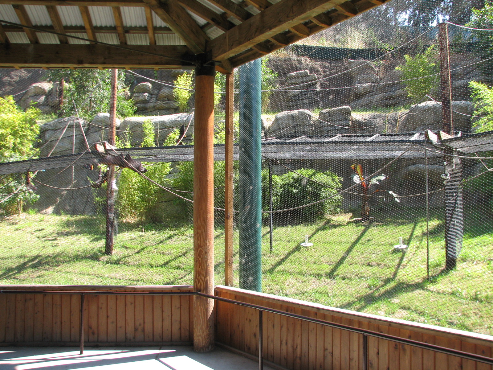 Childrens Zoo - Malayan and Island Flying Foxes Exhibit - Viewing Area