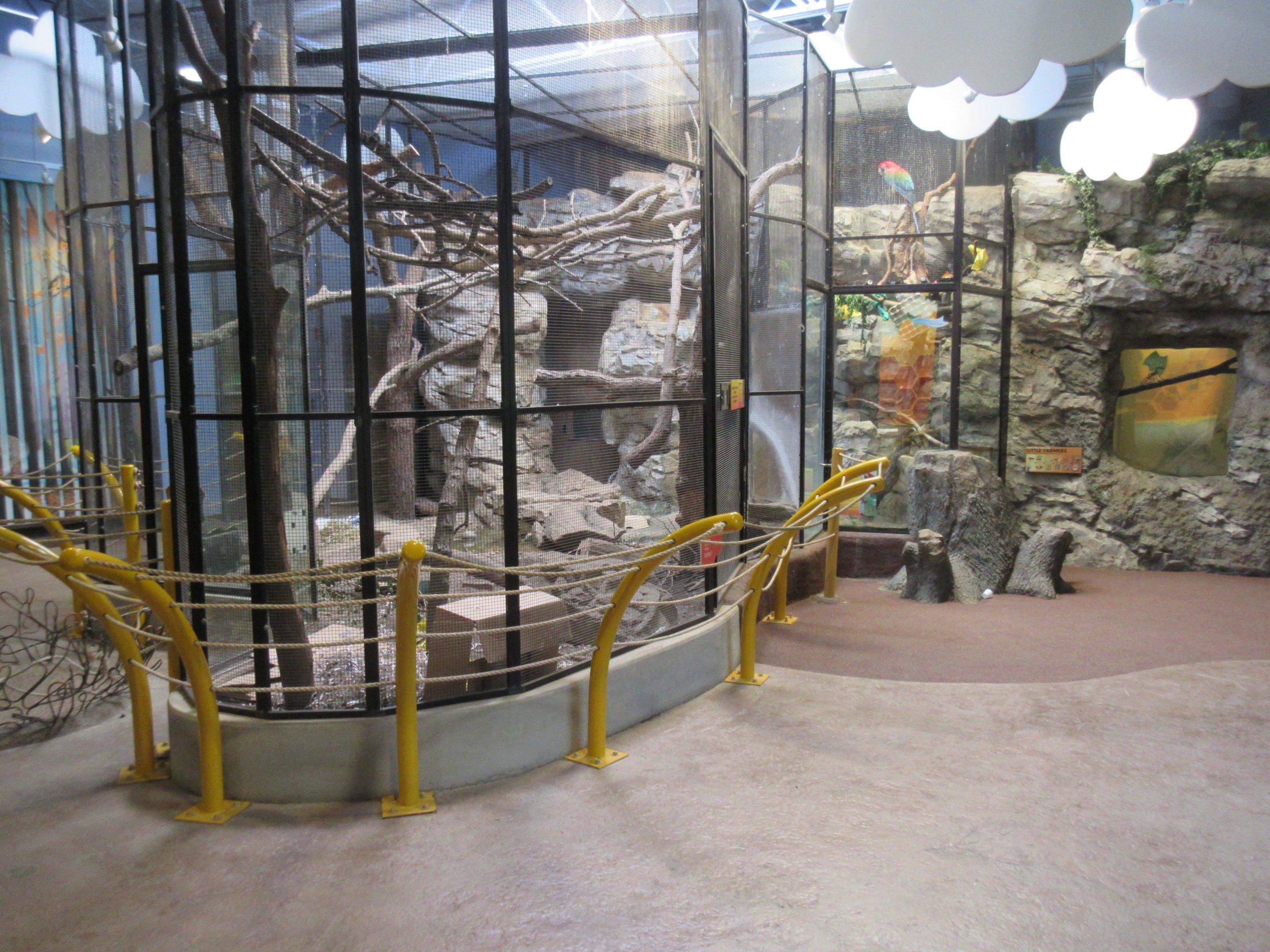 Children's Zoo - Mara + Macaw Exhibits