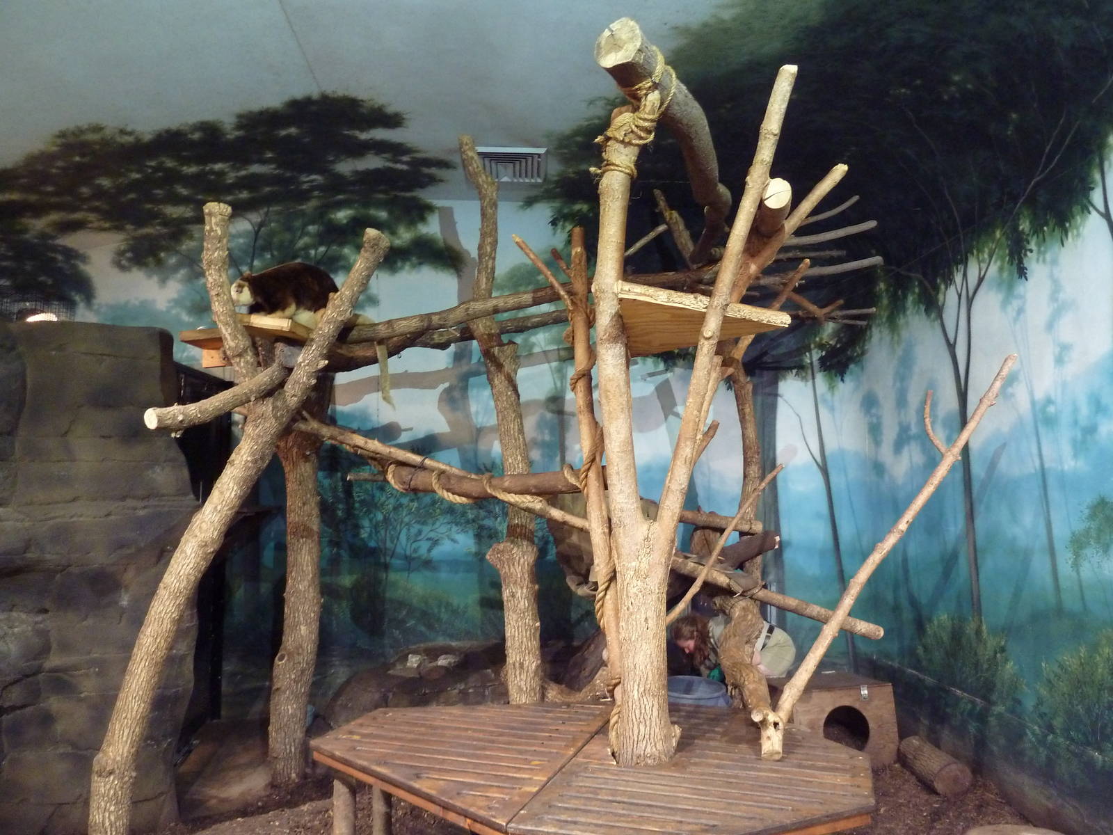 Children's Zoo - Matschie's Tree Kangaroo/Echidna Exhibit