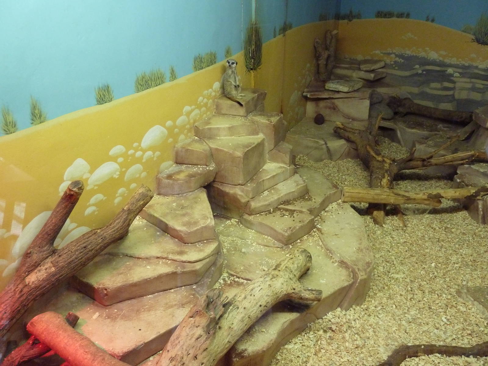 Children's Zoo - Meerkat Exhibit