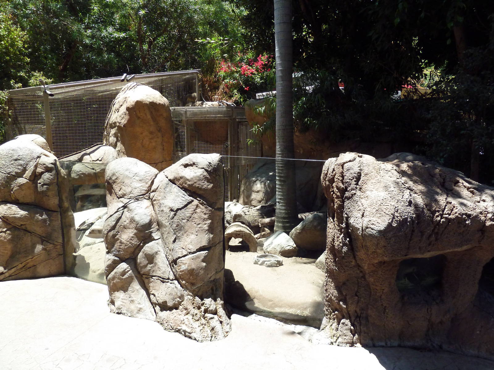 Children's Zoo - Meerkat Exhibit