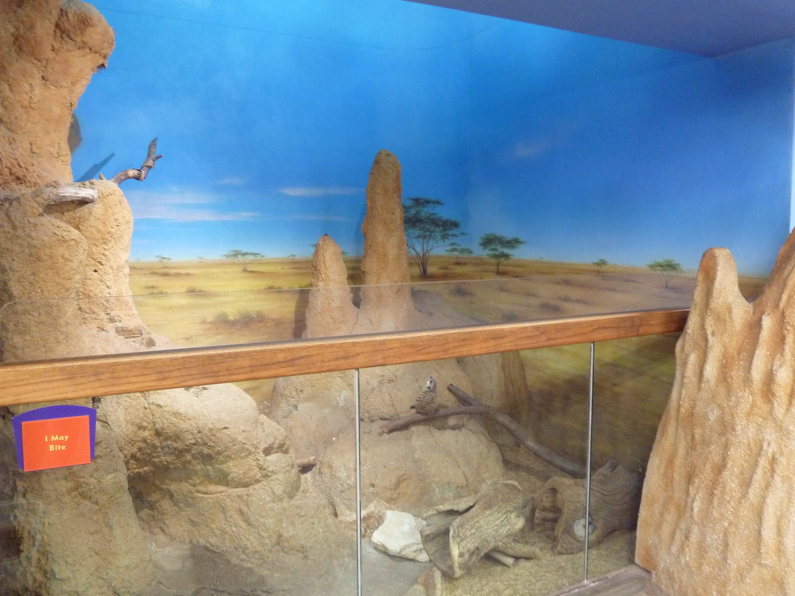 Children's Zoo - Meerkat Exhibit