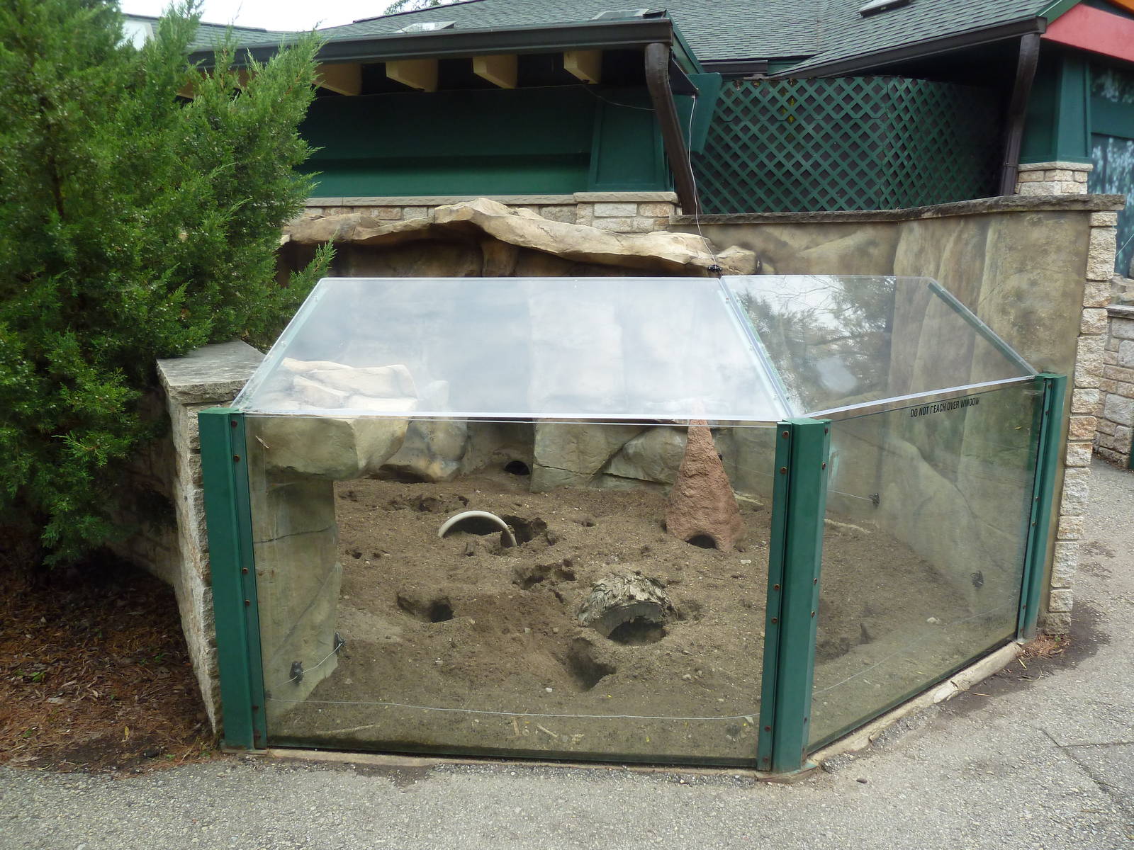 Children's Zoo - Meerkat Exhibit