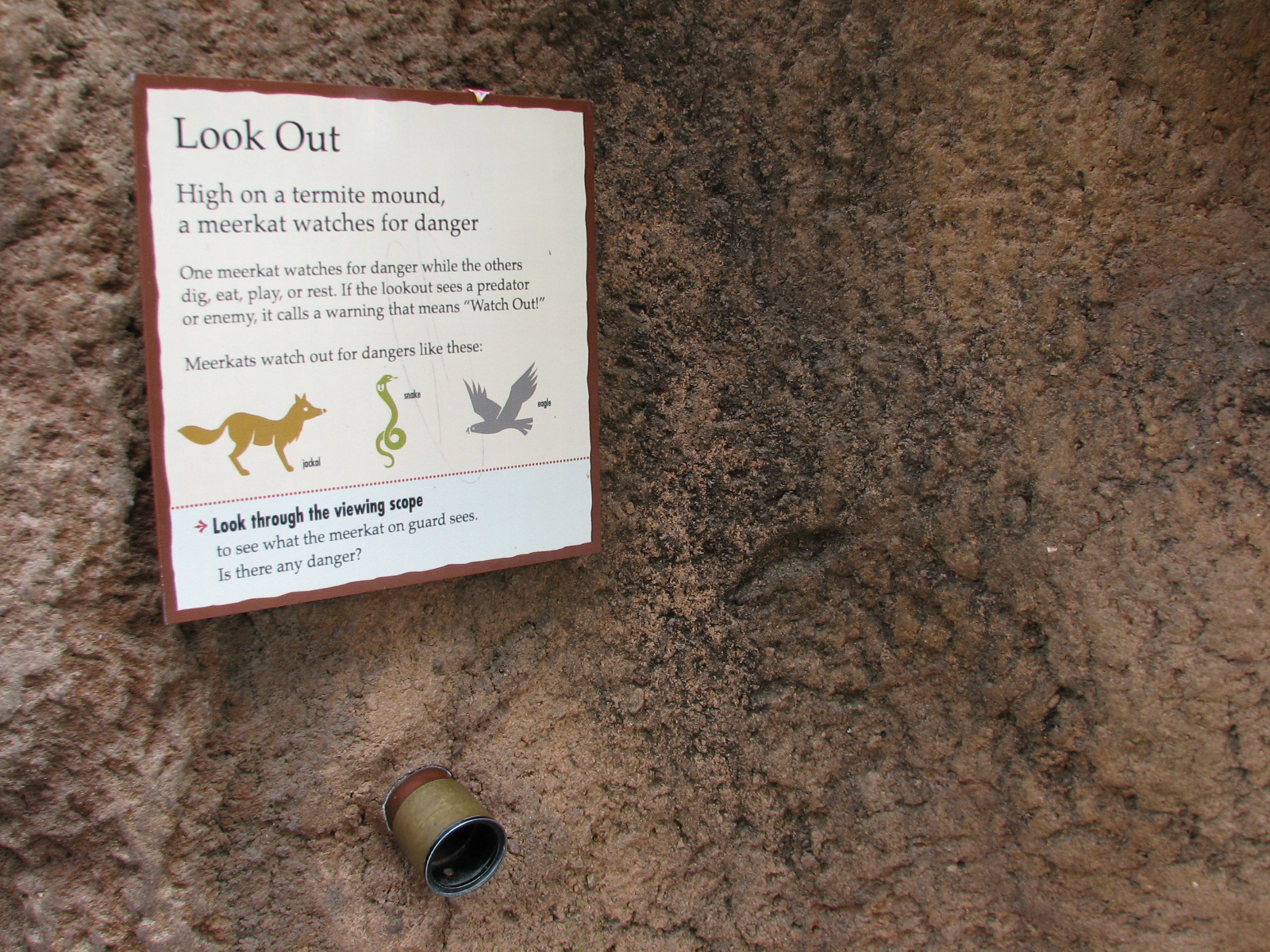 Childrens Zoo - Meerkats and Prairie Dogs - Lookout Scope