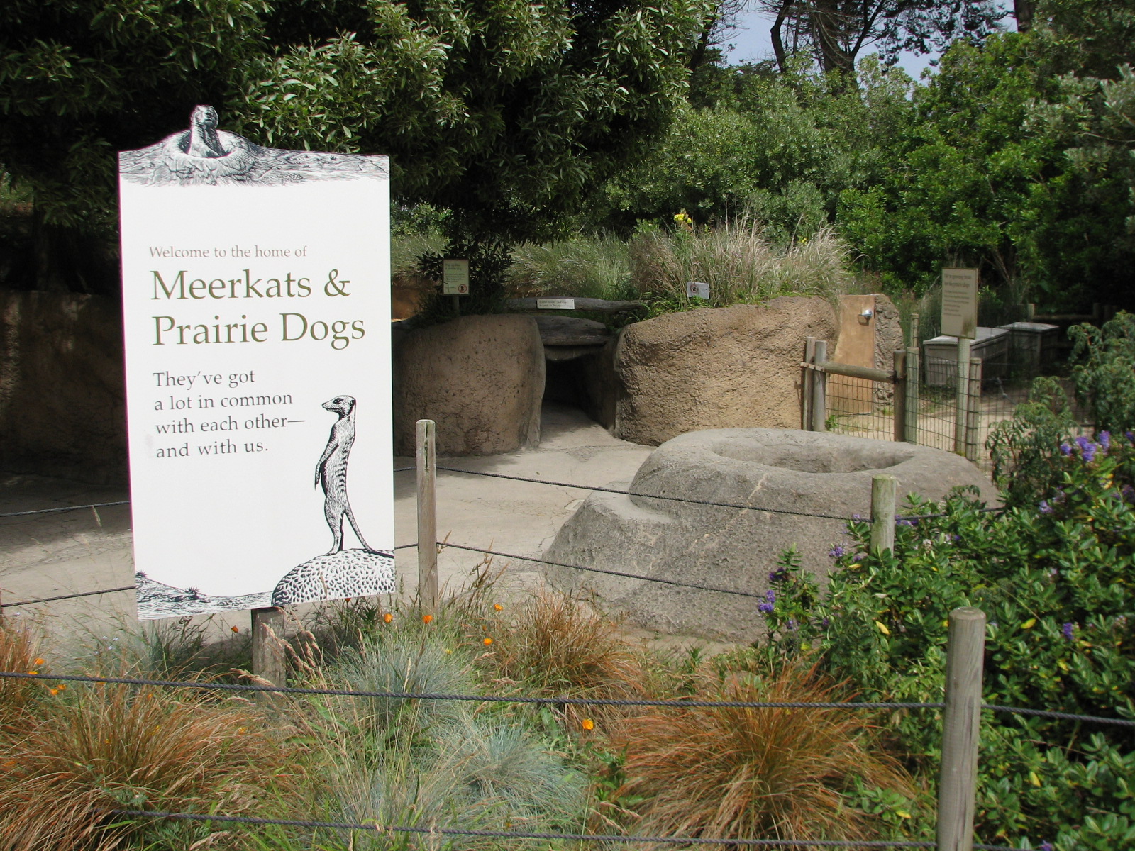 Childrens Zoo - Meerkats and Prairie Dogs - Sign
