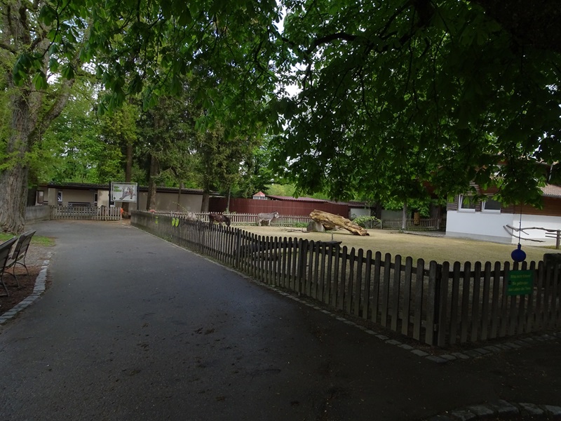 Childrens zoo - Miniature donkey enclosure