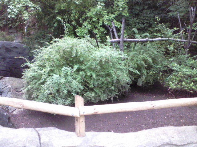 Children's Zoo- Mixed Tortoise Species exhibit