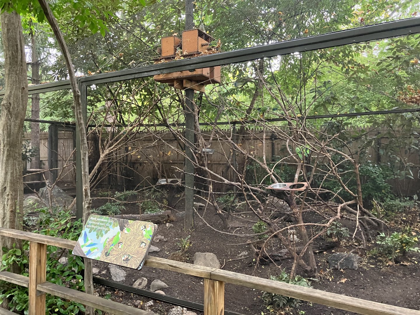 Children’s Zoo - Monk Parakeet Exhibit