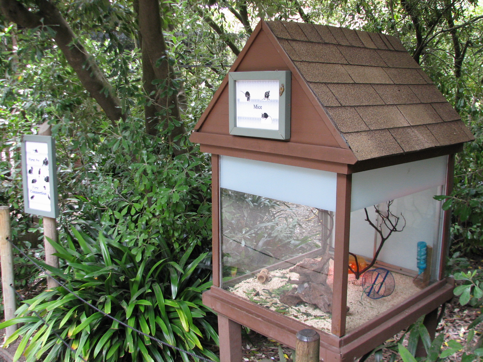 Childrens Zoo - Mouse Exhibit