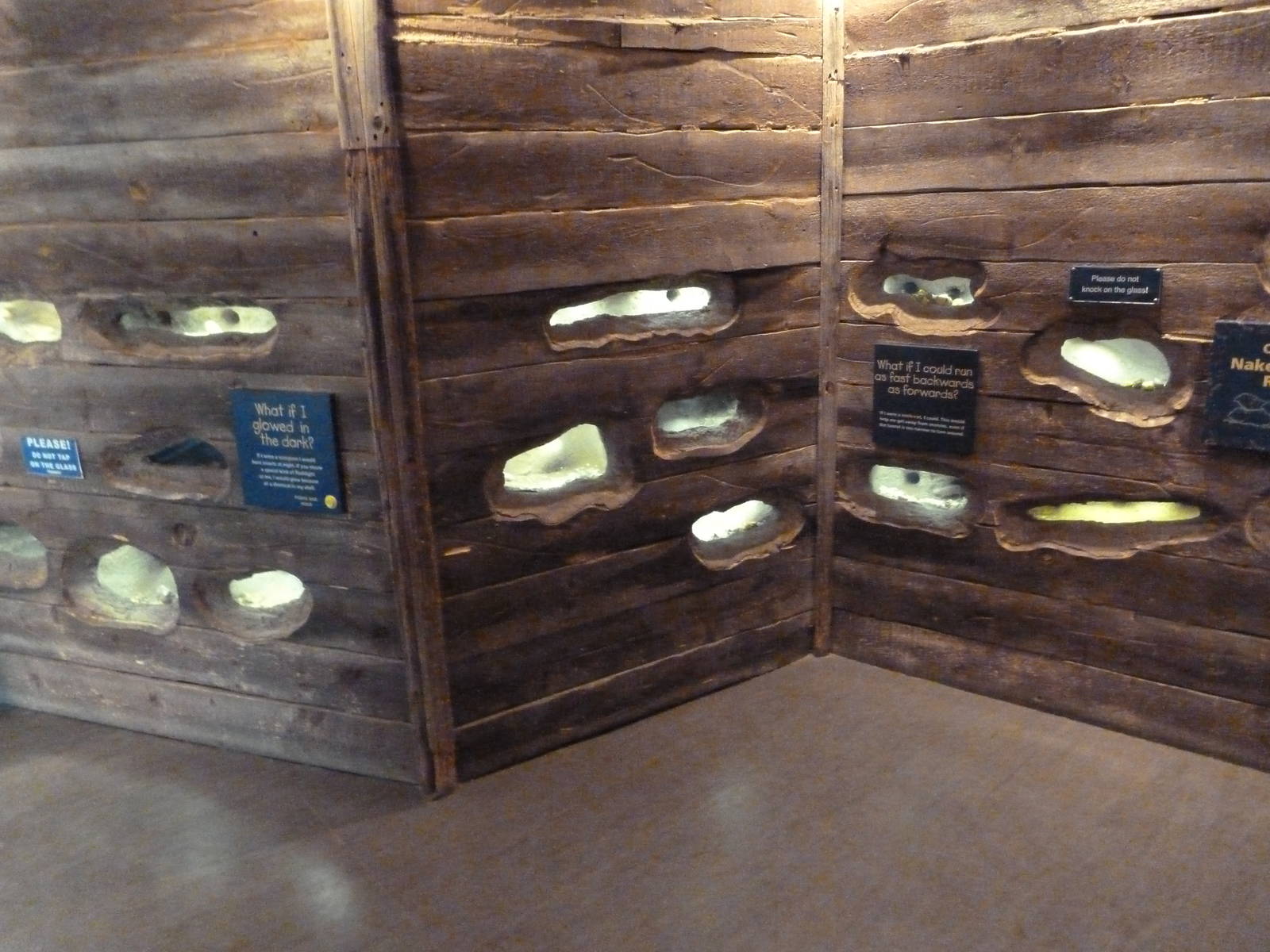 Children's Zoo - Naked Mole Rat Exhibit