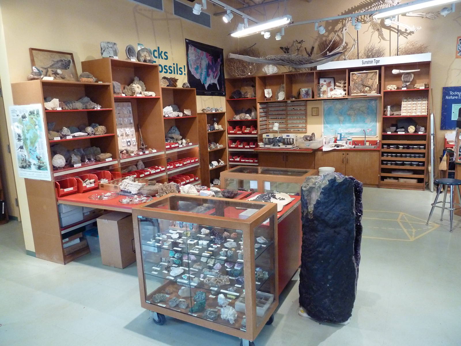 Children's Zoo - Nature Exchange